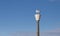 Gull sitting on a street lamp