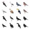 Gull, toucan and other species. Birds set collection icons in black,cartoon style vector symbol stock illustration web.