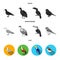 Gull, toucan and other species. Birds set collection icons in black, flat, monochrome style vector symbol stock