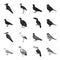 Gull, toucan and other species. Birds set collection icons in black,monochrome style vector symbol stock illustration