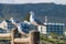 Gull unspoiled nature of South Africa