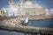 A gull watching in Paseo Campo del Sur Cadiz Cathedral called O