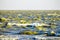 Gulls cormorants fly over raging blue sea, storm background