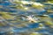 Gulls cormorants fly over raging blue sea, storm background