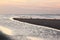 Gulls in evening light at Ameland beach, Holland