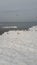 Gulls on the frozen shore of the Baltic Sea