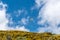 Gulls & Gorse Flowers on Arthur`s Seat