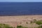 Gulls on Lake Superior Shore   829080