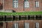 Gulls on the lawn in Luebeck city