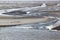 Gulls upon mudflats of Waddenzee, Holland