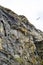 Gulls nesting on a cliff face