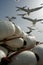 Gulls over fishing tackle