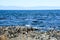 Gulls Roost on Rock