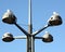 Gulls sitting on the lantern