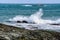 Gulls and Splashes on the Rhode Island Coast