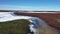 Gulls in the spring in the tundra on the Yamal Peninsula in Russia