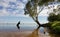 Gum tree at Lake Mulwala, Australia