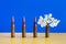 Gun cartridges on blue yellow background close up. White flower in case. War and peace concept, hope concept. Ukraine flag colors