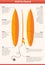 Gun surfboard vector infographics