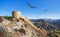 The Gunib fortress is a historical monument of Dagestan. Eagles fly over the old fortress