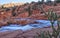 Gunlock Falls Cactus