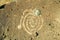 Gunshot wound to Native American petroglyph at Petroglyph National Monument, outside Albuquerque, New Mexico