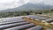 Gunung Bismo, Indonesia, Central Java, tomato garden