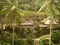 Gunung Kawi, Beautiful temple in the nature, palm trees and ricefield in Bali