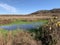 Gupton Wetlands in Late Autumn