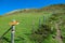 Gurglitzen - Idyllic hiking trail to Boese Nase, Ankogel Group, Carinthia, Austria. Ascending over alpine meadow