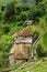 A gurung village in the Annapurna Sanctuary trail. Himalayas, Ne