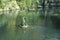 Gushing seal sculpture on a park pond