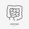 Gut flat line icon. Vector thin pictogram of human internal organ, intestines outline illustration for medical clinic