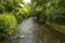 Gutach river in Black Forest, Germany