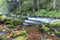 Gutach River near Triberg in the Black Forest