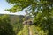 Guttenberg castle ruins near Oberotterbach. Region Palatinate State of Rhineland-Palatinate in Germany