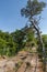 Guttenberg castle ruins near Oberotterbach. Region Palatinate State of Rhineland-Palatinate in Germany