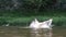 A guy with a beard dives and jumps out of the river against the backdrop of mountains. Summer fun in the water in nature. Bathing,