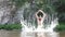 A guy with a beard dives and jumps out of the water in the river against the backdrop of mountain texture. Swimming in nature. Sum