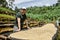 Guy in cap standing near coffee washing station