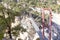 Guy crossing a footbridge hiking in the mountain