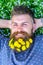 Guy with dandelions in beard relaxing, top view. Breeziness concept. Man with beard on smiling face put hands behind