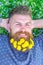 Guy with dandelions in beard relaxing, top view. Breeziness concept. Man with beard on smiling face put hands behind