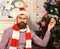 Guy decorates Christmas tree. Man with beard in checkered shirt