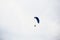 Guy flying on the clearly blue sky by paramotor red kite,extreme activity port.