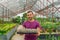 Guy gardener holds a pallet with many seedlings of cacti, mammillaria. Growing and caring for plants and flowers in a greenhouse,