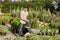 Guy gardener puts the seedlings in pots in a cart on the garden path in the wonderful nursery-garden on a sunny day