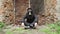 Guy in the gas mask and a black hoodie is sitting on the background of a ruined abandoned building. Post apocalyptic world.