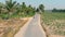 Guy and girl ride blue motorbike past green palm forest