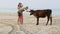 Guy Girl Squat on Sand Beach Watch Close Cows by Ocean Surf